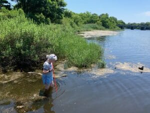 Woman wading into College Creek