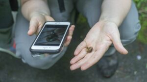 Carrie using iNaturalist app with snail, photo taken by Ana