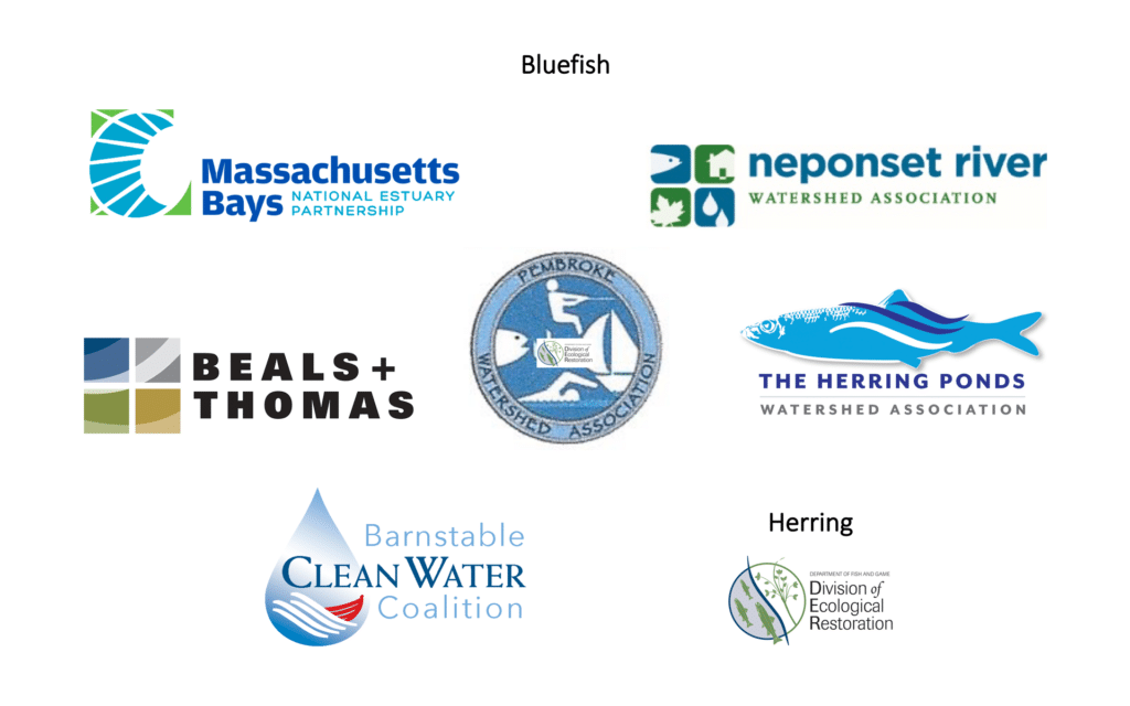 Bluefish and herring level sponsor logos