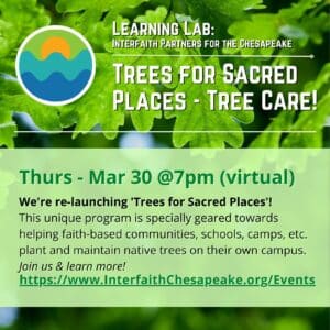Trees for Sacred Places 