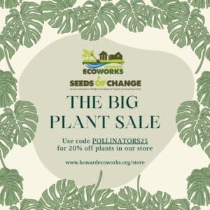 This image displays text describing a sale at the seeds of change nursery for 20% off plants with code pollinators23 until June 26