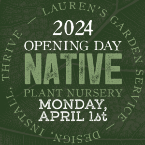 Lauren's Garden Service and Native Plant Nursery Opening Day 2024