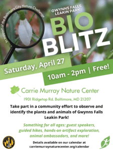 The flyer reads: Saturday, April 27 10am-2pm Free! Carrie Murray Nature Center 1901 Ridgetop Rd. Baltimore MD 21207 Take part in a community effort to observe and identify the plants and animals of Gwynns Falls Leakin Park! Something for all ages: guest speakers, guided hikes, hands-on artifact exploration, animal ambassadors and more! Details available on our calendar at carriemurraynaturecenter.org/calendar