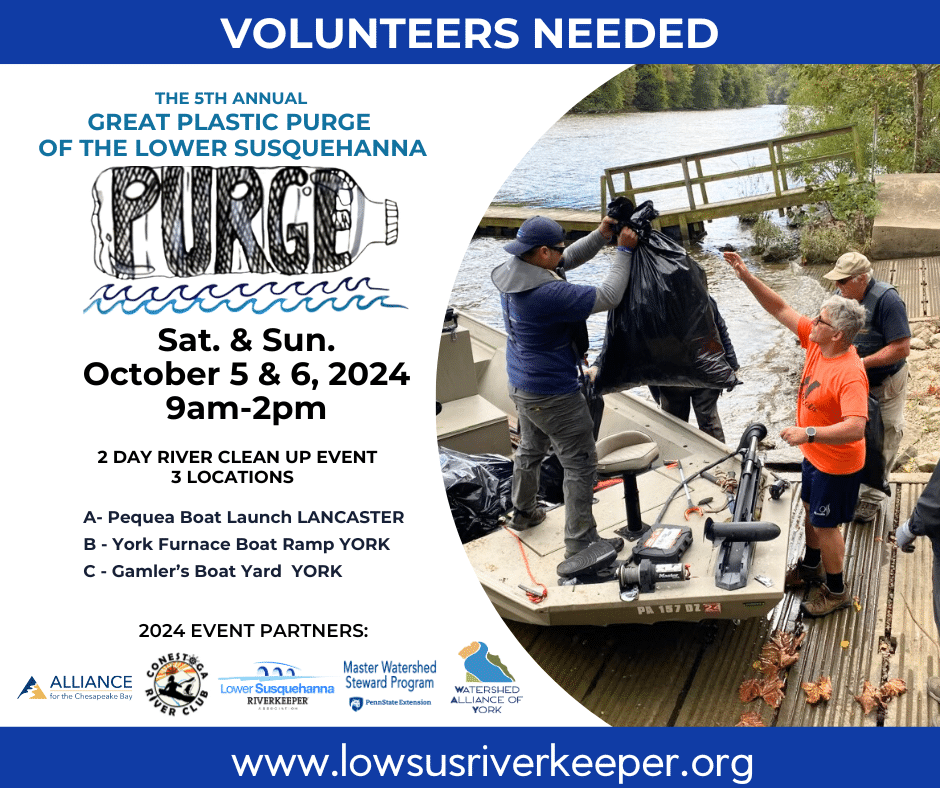 Event description of the Plastic Purge.