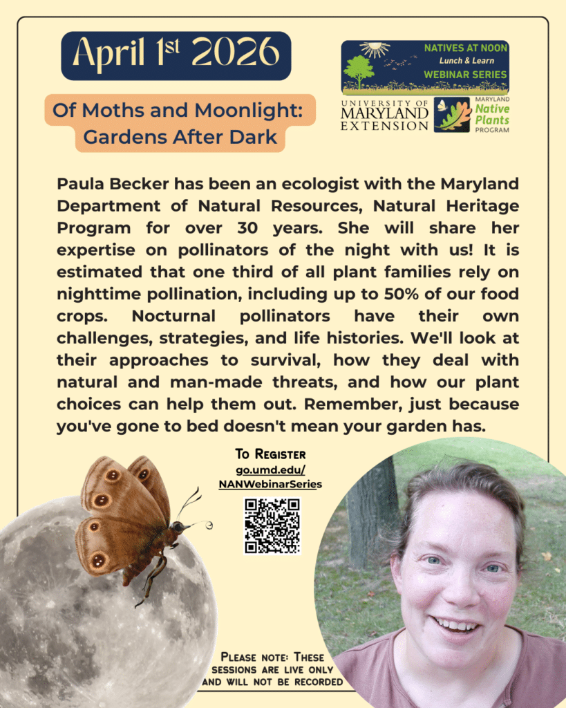 Info flyer for April Natives at Noon Session. Visit go.umd.edu/NANWebinarSeries for a full description.